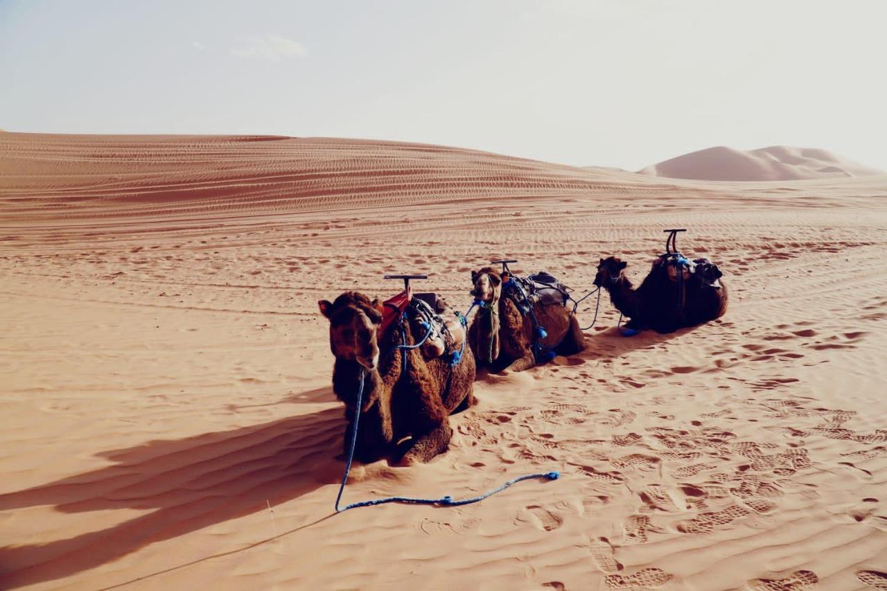 Tourza Desert Camp "Tents With Heating" Мерзуга Экстерьер фото